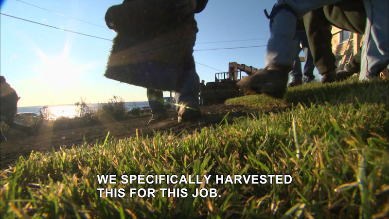 Still image from This Old House: Trade School--Landscape by the Sea