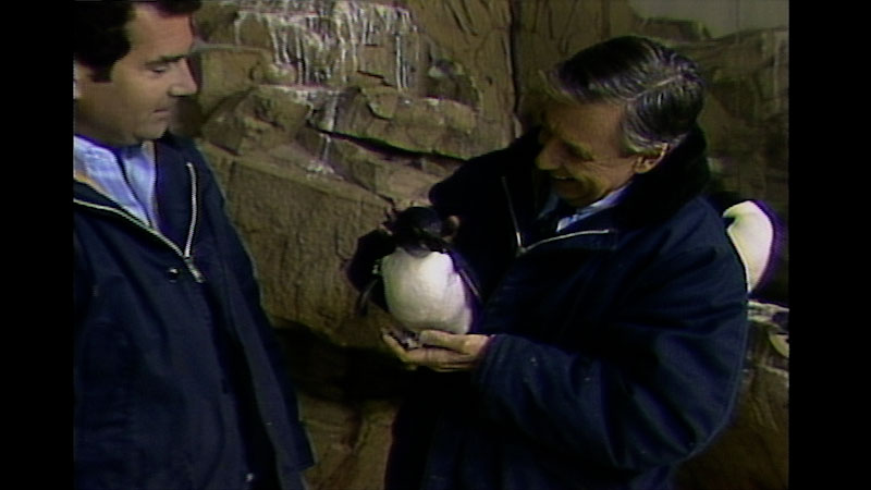 Still image from: Mister Rogers’ Neighborhood: A Visit to the Penguin Exhibit and Learning About Differences