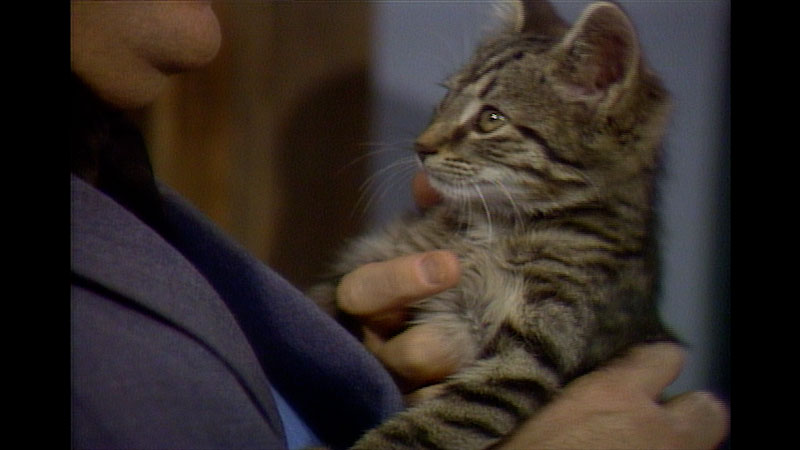 Still image from: Mister Rogers’ Neighborhood: Remembering When Pets Were Small and Watching Things Grow