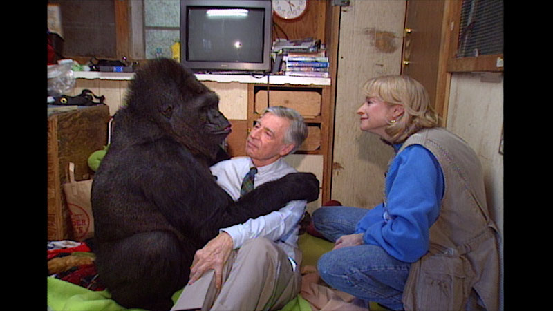 Still image from: Mister Rogers’ Neighborhood: Meeting Koko the Gorilla and Learning Not to Be Afraid