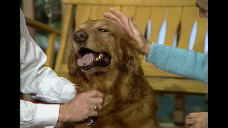 Still image from: Mister Rogers’ Neighborhood: Drawing Fish and Getting Ready for the Pet Show