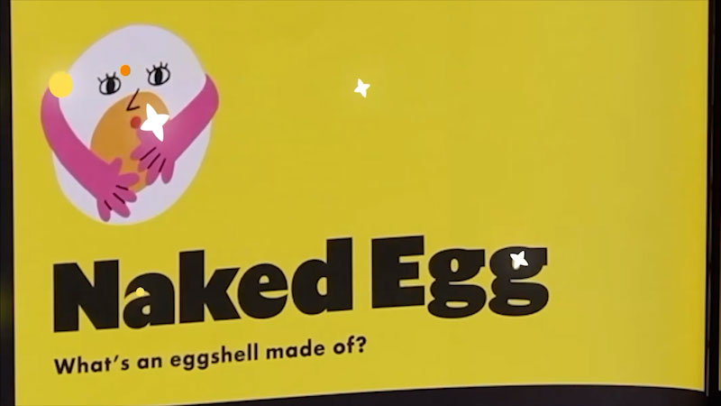 Still image from: Emily's Science Lab:  Bouncy Egg Experiment - Vinegar and Egg Easter Science!