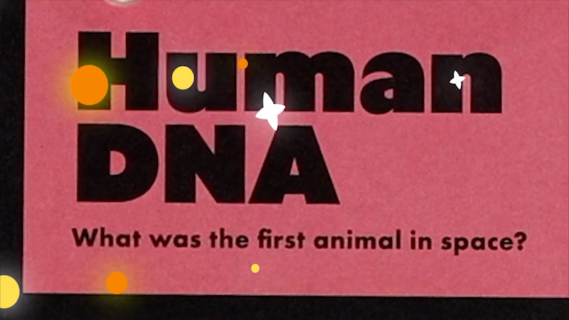 Still image from: Emily's Science Lab: Extract Human DNA