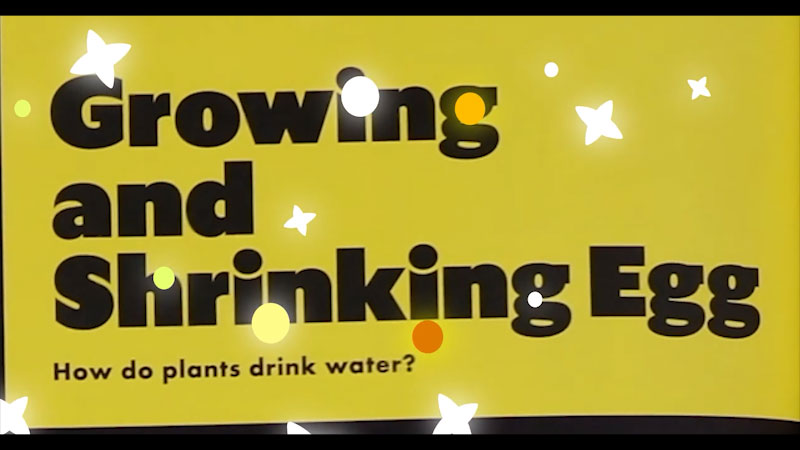Still image from: Emily's Science Lab: Growing and Shrinking Egg - Egg Osmosis Experiment