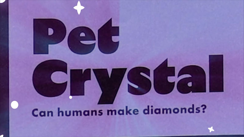 Still image from: Emily's Science Lab: Make A Huge Crystal