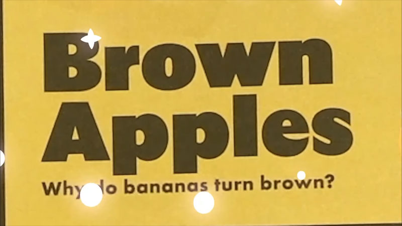Still image from: Emily's Science Lab: Why Do Apples Get Brown