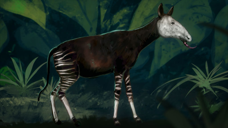 Still image from: Monstrum: The Okapi