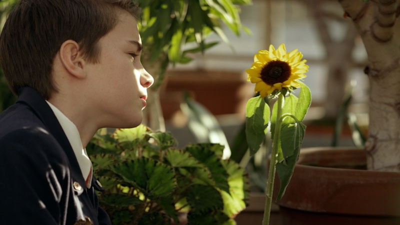 Still image from: Odd Squad: Rookie Night / Who Let the Doug Out?