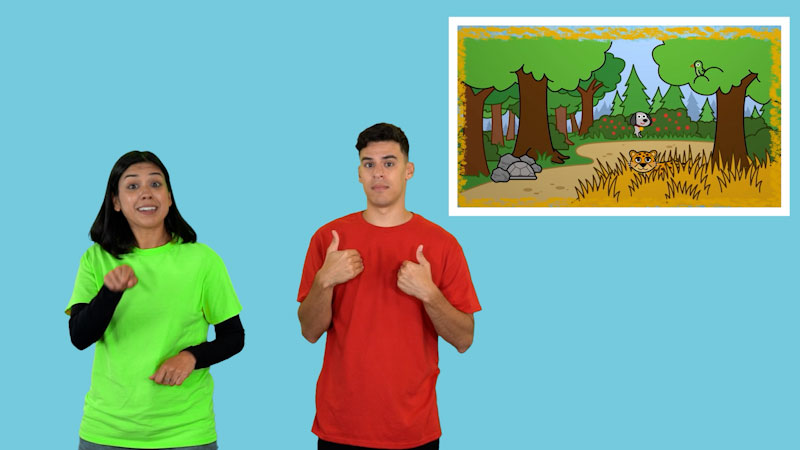 Still image from: Plaza Sésamo in ASL: El mundo de Elmo - Camuflaje (Spanish)