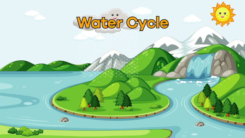 Still image from: Water Cycle Interactive