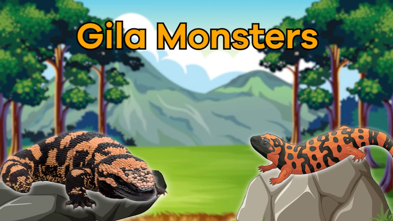 Still image from: Gila Monsters