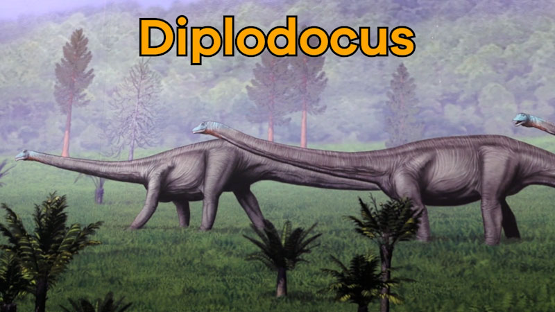 Still image from: Dinos A to Z Diplodocus