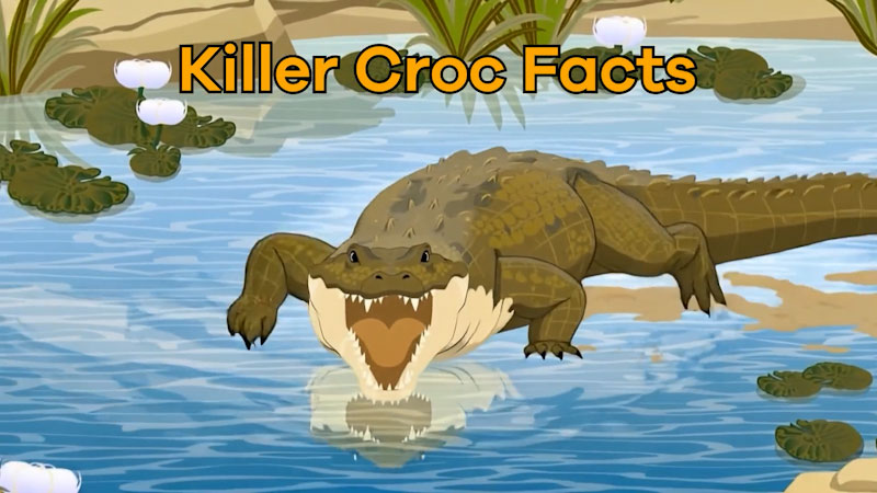 Still image from: Killer Crocodile Facts