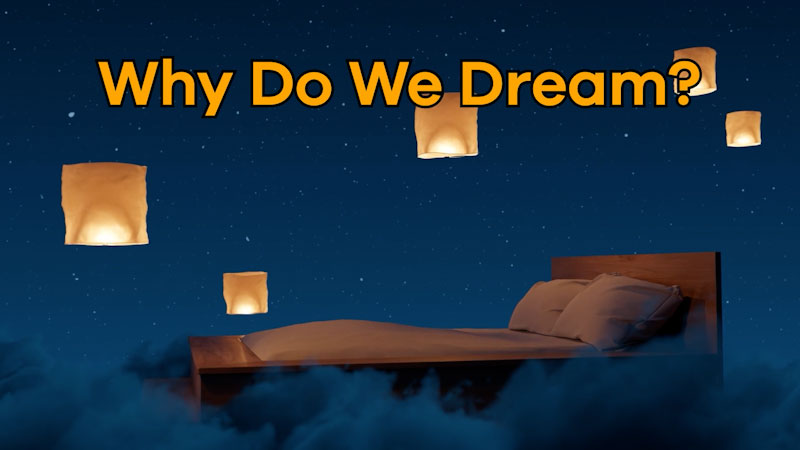 translation missing: en.dcmp.media.poster_alt_fallback