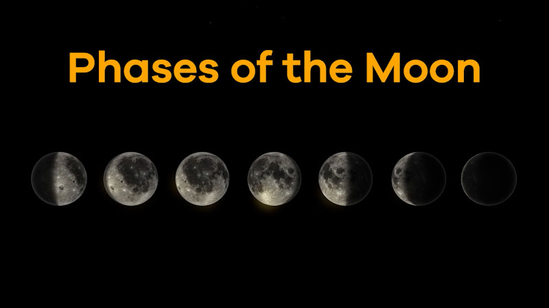 translation missing: en.dcmp.media.poster_alt_fallback