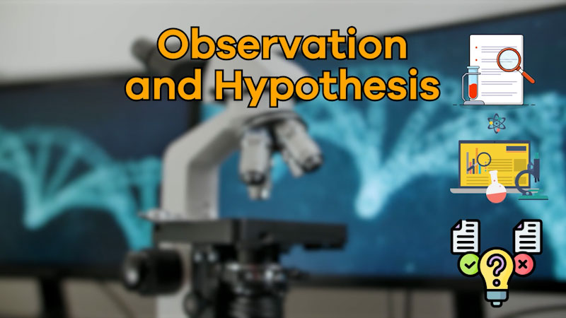 translation missing: en.dcmp.media.poster_alt_fallback