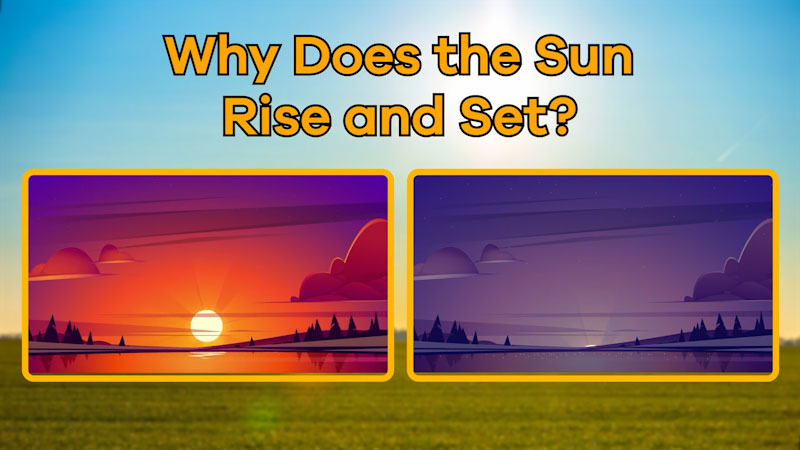 translation missing: en.dcmp.media.poster_alt_fallback