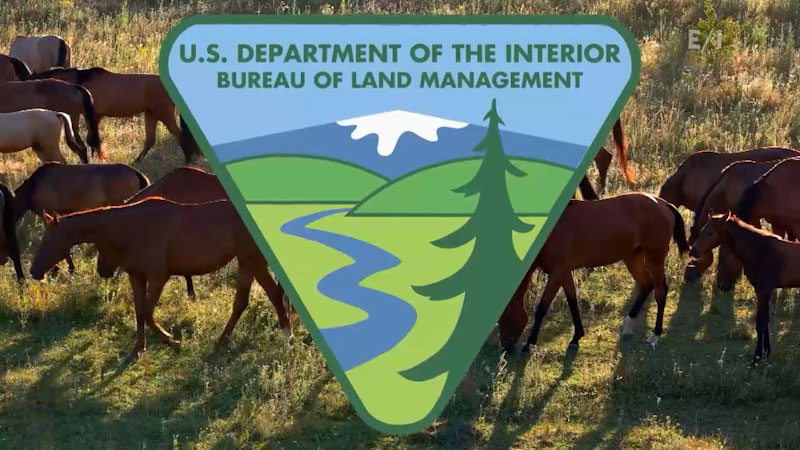 translation missing: en.dcmp.media.poster_alt_fallback