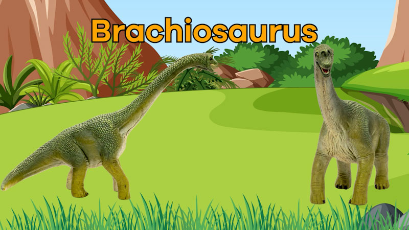 translation missing: en.dcmp.media.poster_alt_fallback