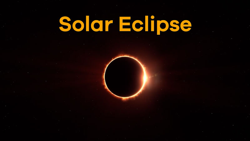 translation missing: en.dcmp.media.poster_alt_fallback