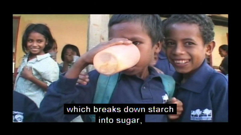 Still image from The Role Of Enzymes