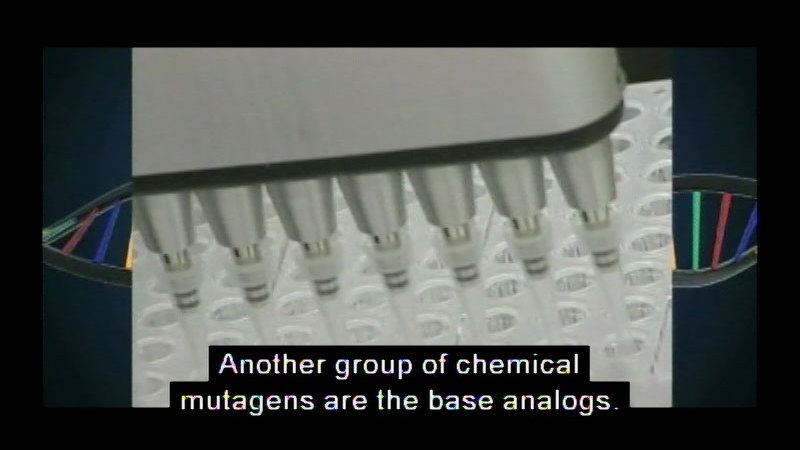Still image from Mutations: Changing The Code