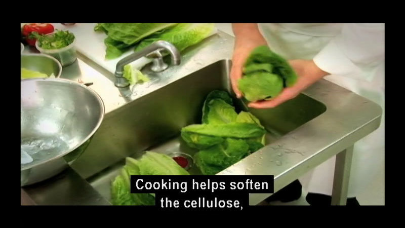 Still image from The Cooking Process: How Food Changes