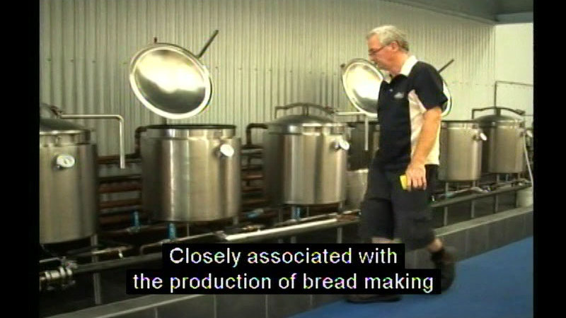 Still image from Using Microbes In Food